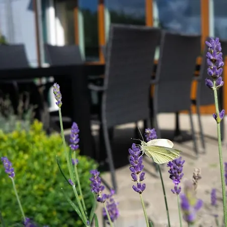 Thy - I Hjertet Af Thy Lejlighedshotel