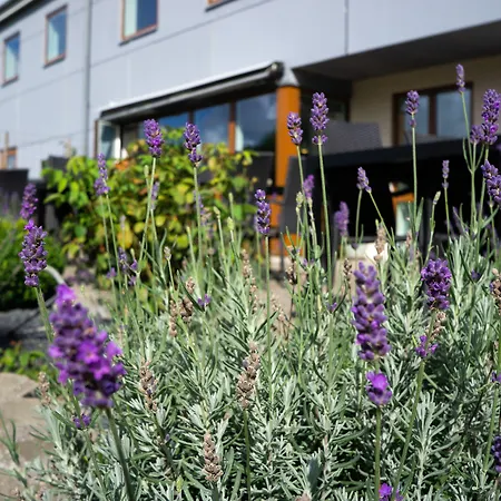 Aparthotel Thy - I Hjertet Af Thy Thisted