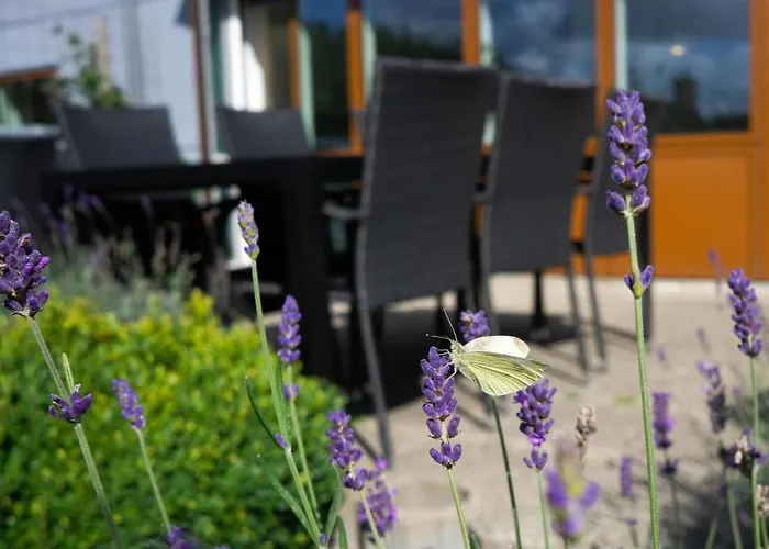 Thy - I Hjertet Af Thy Lejlighedshotel