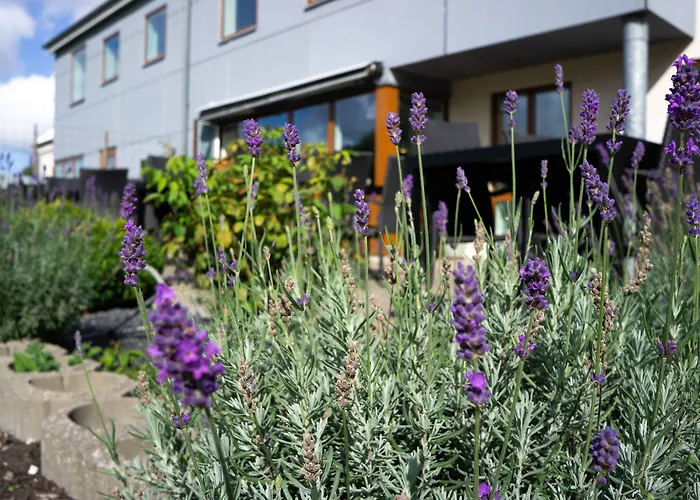 Lejlighedshotel Thy - I Hjertet Af Thy Thisted